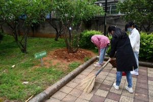 強化勞動實踐，共建美麗校園