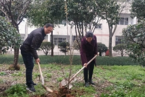 響應綠水青山 創(chuàng)建文明校園